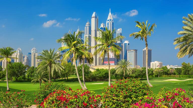 A park in Dubai with a backdrop of towers