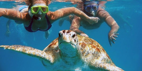 Oahu-Hidden-Gems-Tour-snorkel-with-turtles-1