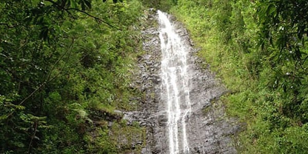 Rainforest-Waterfalls-and-Movie-Site-Tour-1