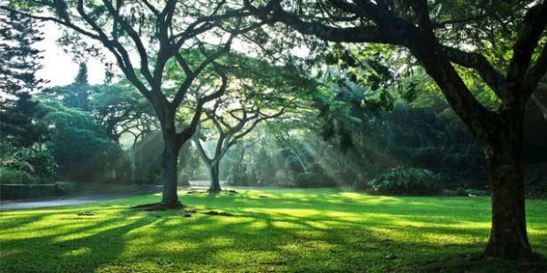 Waimea-Valley-2