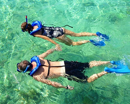 snorkeling buddies
