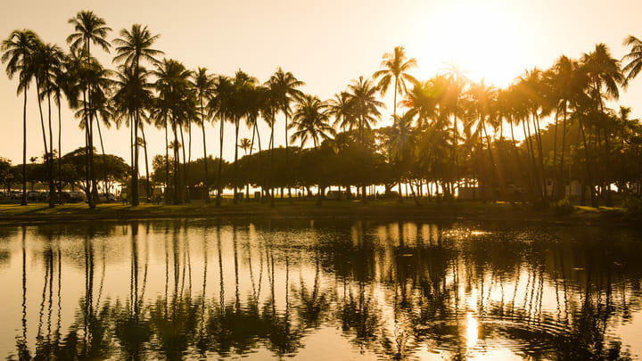 Ala Moana beach park Oahu