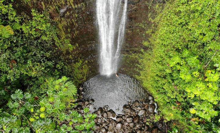 rainforest waterfall oahu hawaii
