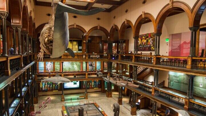 Bishops Museum