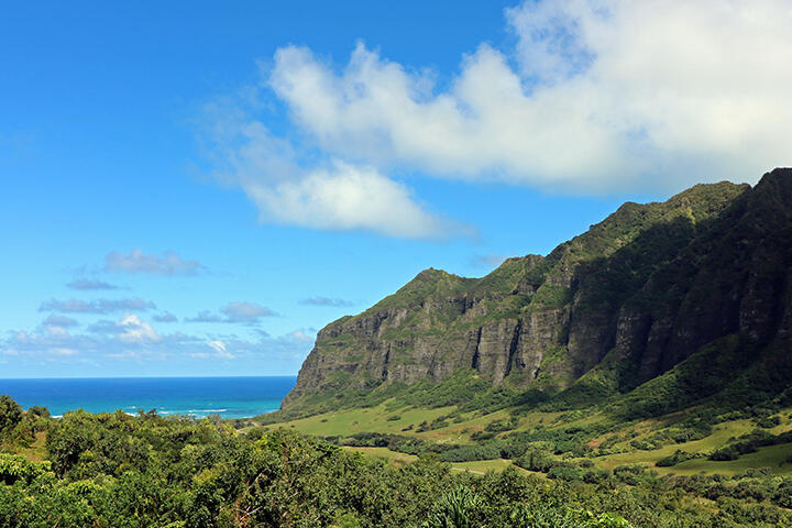Jurassic Valley
