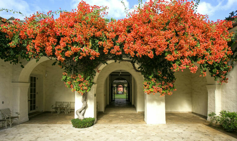 Honolulu Museum of Art