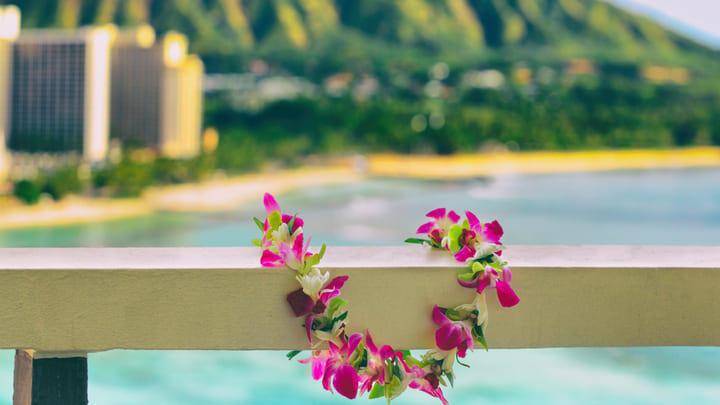 Traditional Hawaiian flower lei with Diamond Head in the background.