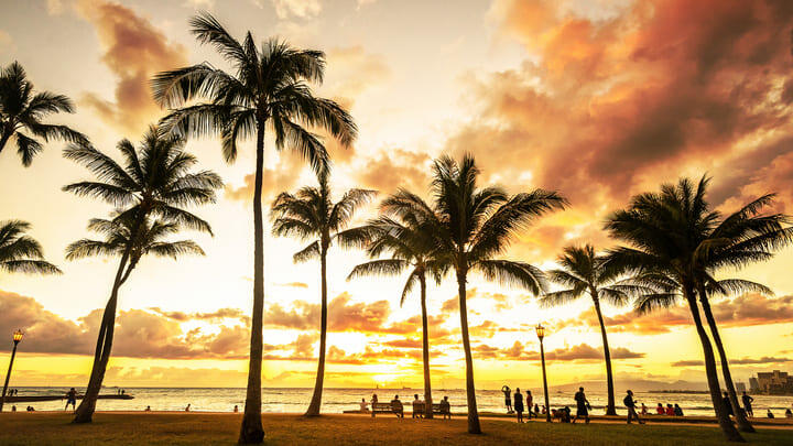 Waikiki beach oahu