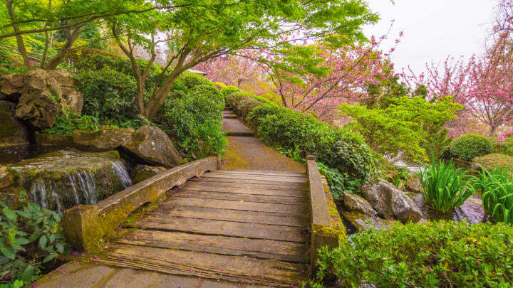 Wooden bridge over a small stream in the Rome Botanical Garden