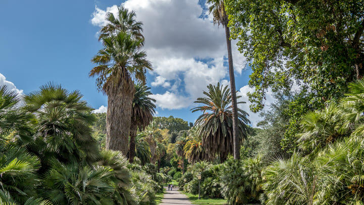The Orto Botanico botanical gardens in Trastevere, Rome
