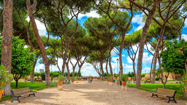 Parco Savello - the Orange Trees Garden - in Rome