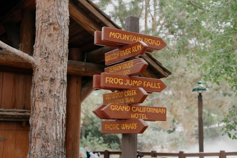 Where to go at Disneyland?