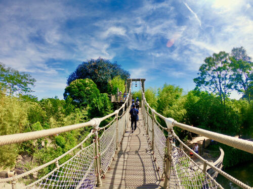 Walking across a bridge to Disneyland