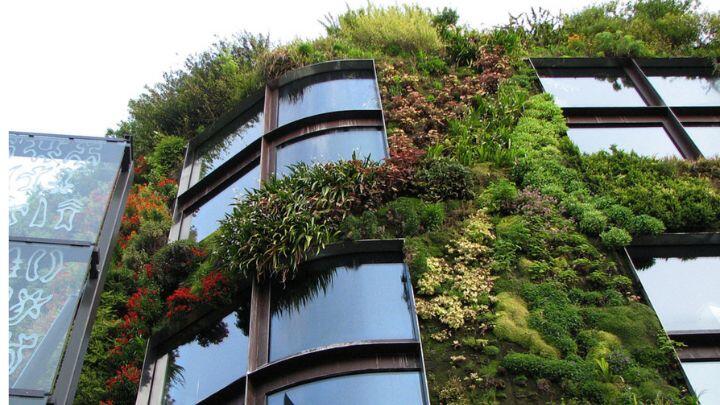 View from below of plant covered exterior of Musee Quai Branly