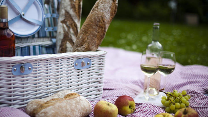 A picnic in Paris