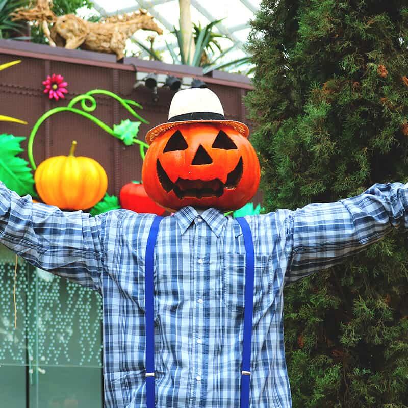 Halloween in Singapore  Go City®