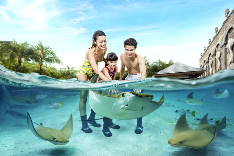 Adventure Cove Waterpark