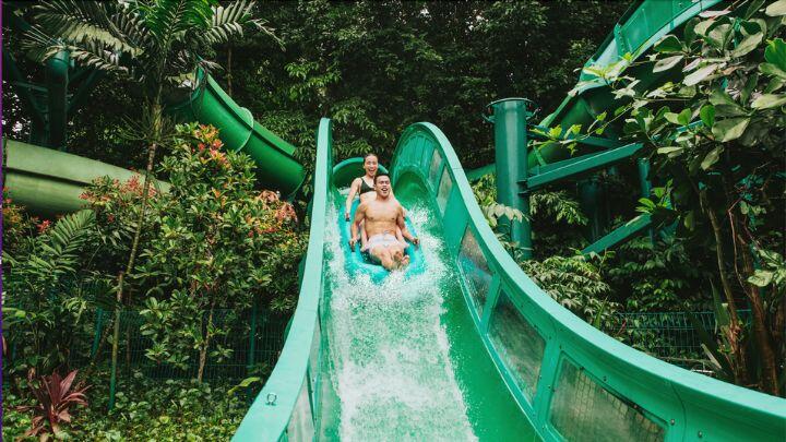 Two people descend the green chute of a water ride, against background of tropical vegetation