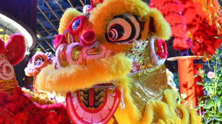 Close up of the richly decorated head of a yellow Chinese dragon from a street parade
