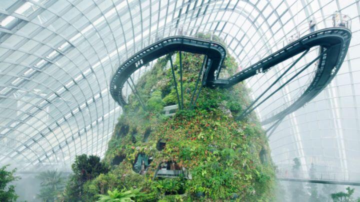 Looking up a tower of plants, with aerial walkway and vast roof of greenhouse