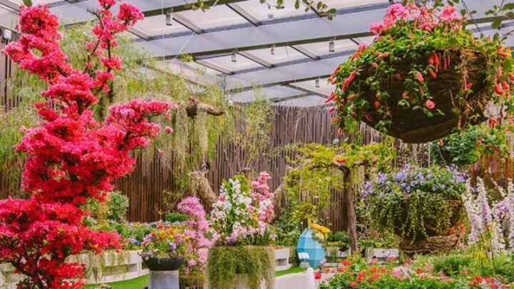 Red blossom, pink hanging basket and other blooms and greenery at Gardens by the Bay