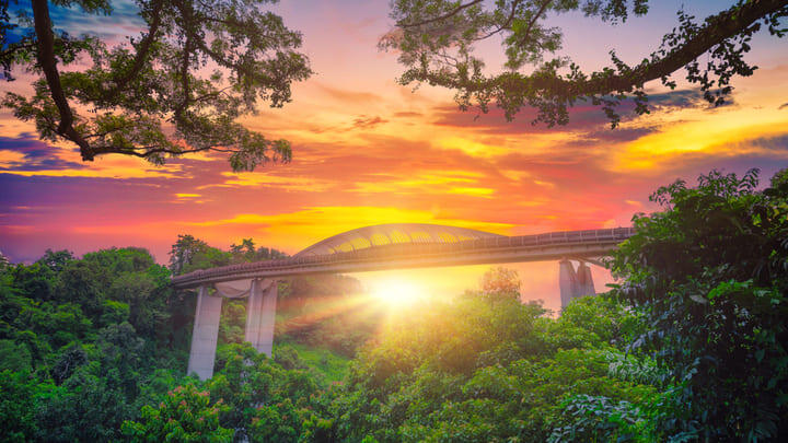 Sunset over the Henderson Waves bridge on the Southern Ridges trail in Singapore