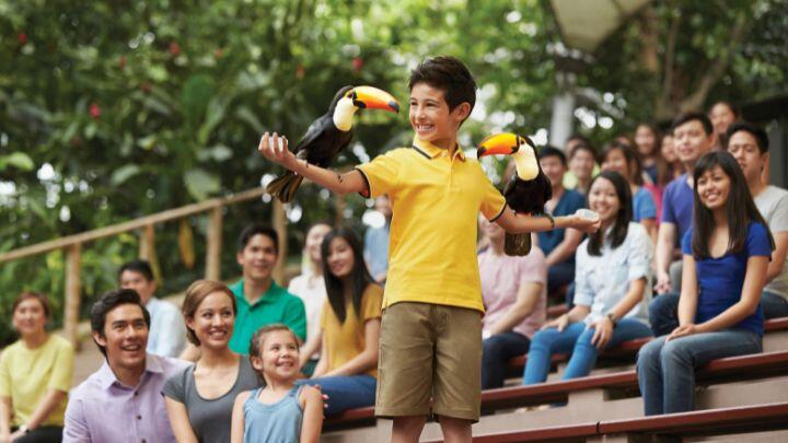 Young boy in yellow Tshirt holds toucans on each arm in front of a crowd