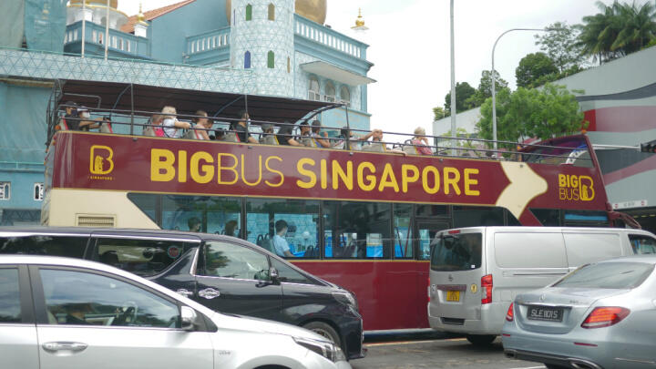 Things to do Alone in Singapore