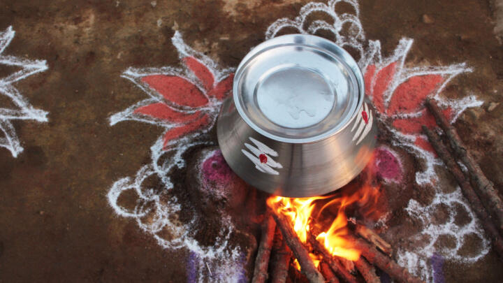 Pongal, festivals in singapore