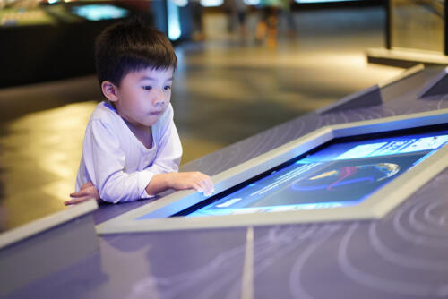 An interactive museum display fascniates a young boy