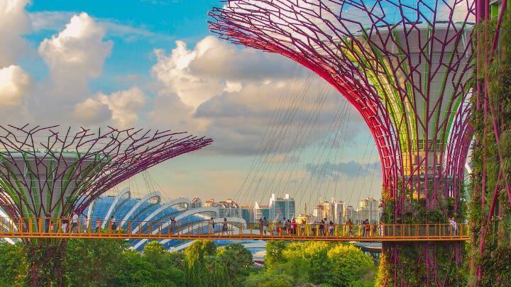 Close up of pink and yellow Singapore supertrees against clouds, sky and distant horizon