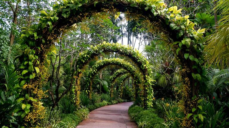 Singapore Botanical Gardens