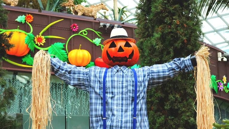 Singapore scarecrow