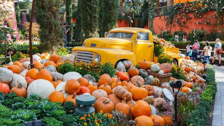 Pumpkin truck