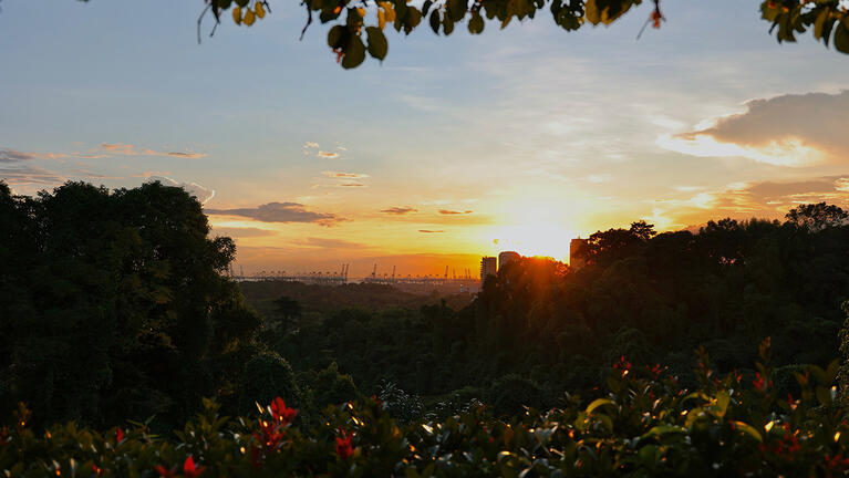View from Mount Faber Singapore