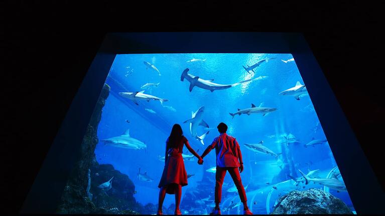 Singapore SEA Aquarium