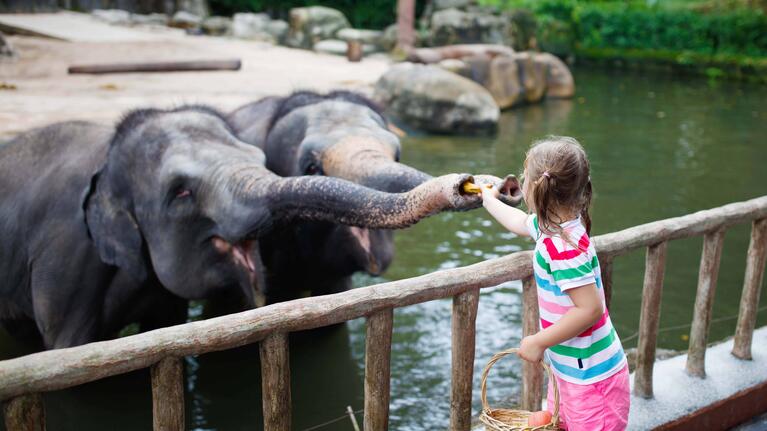 Singapore Zoo