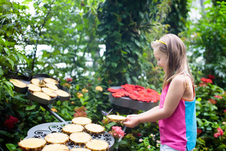 Child exploring the Butterfly Garden in Changi Airport, Singapore.