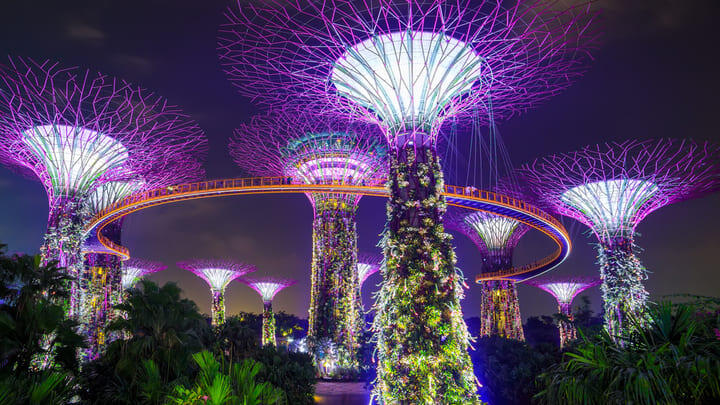 Supertree Grove illuminated at night in the Gardens by the Bay, Singapore