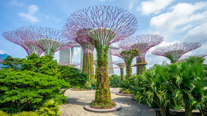 Supertree Grove at Gardens by the Bay in Singapore.