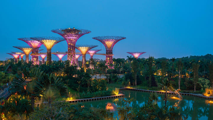 Supertree structures at twilight in Singapore's Gardens by the Bay.