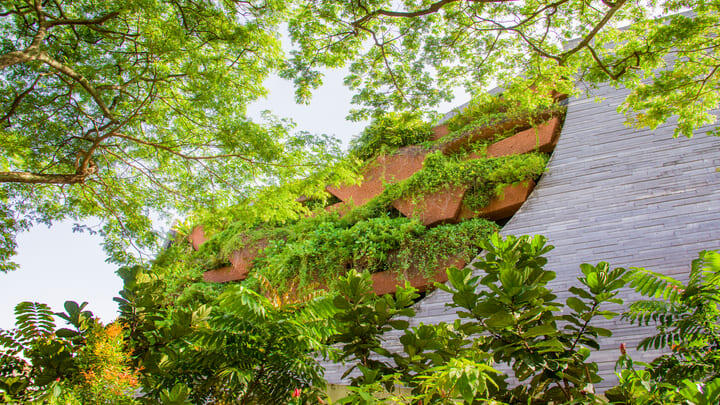 Lee Kong museum
