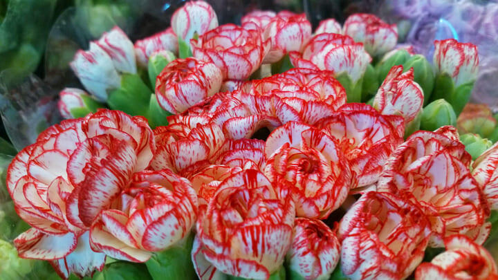 Colorful blooms for sale at Pak Khlong Talat, Bangkok's famous flower market.