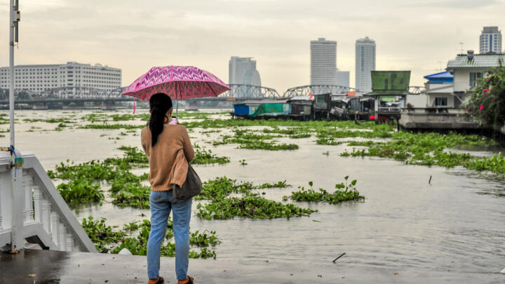 Bangkok autumn events