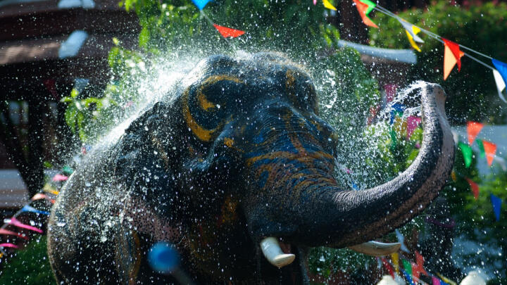 Songkran Water Festival in Bangkok