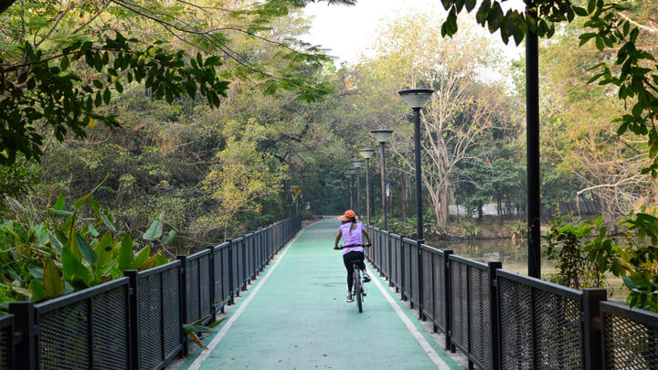 Cyclist in Bangkok's Wachirabenchathat Park.