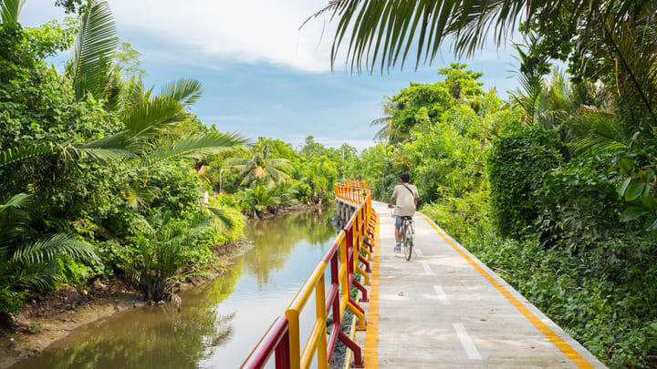A cyclist on the elevated walkways in Bang Krachao.
