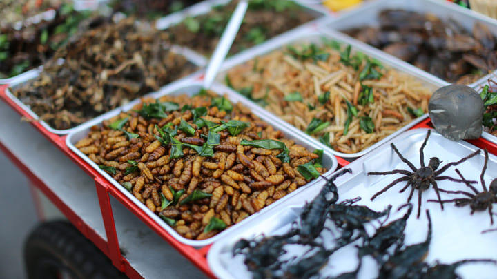 Edible insects for sale in a Bangkok market.