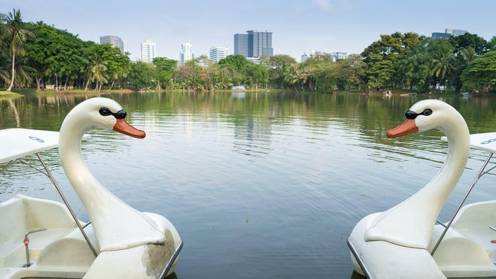 Swan pedal boats in Lumpini Park, Bangkok.