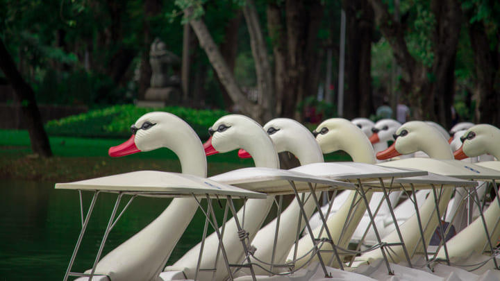 Giant swan pedaloes on the lake in Lumpini Park.